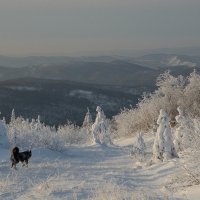 Январь :: Владимир Тюменцев