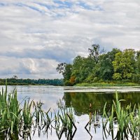 Пасмурно. :: Валера39 Василевский.