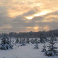 Северный восход :: Лидия Рьянова