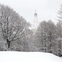 Белое безмолвие :: Николай Дони