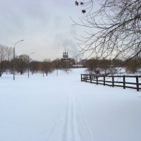 лыжня в пасмурный день... :: Валентина. .