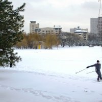 Лыжник в парке :: Анатолий Цыганок