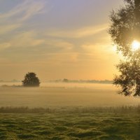 A carpet of Fog. :: Johny Hemelsoen 