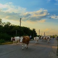 Дорога домой. :: Таисия 