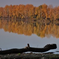 осень :: Наталья Сорокина