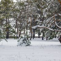 Занесенная снегом :: Юрий Стародубцев