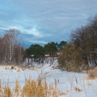 Подмосковье :: Елена Решетникова