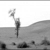 Моя земля.Песок и холод :: Ахмед Овезмухаммедов