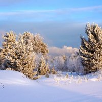 Январь :: Галина Подлопушная