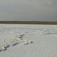Соленое озеро :: Медведев Сергей 