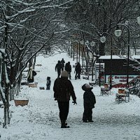 В зимнем парке :: Константин Николаенко