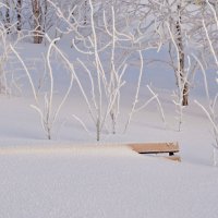 Снега по пояс :: Василий Хорошев