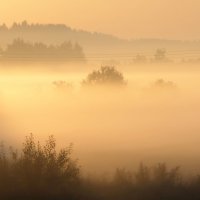 Жаркое утро :: Юрий Цыплятников