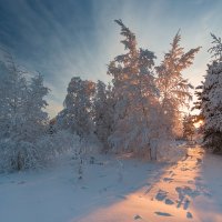 Солнечная тропинка :: Михаил Потапов