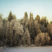 Зима :: Игорь Триер