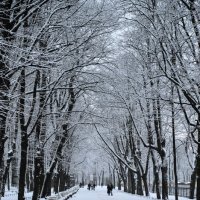 зима в Александровском саду :: Ольга Имайкина