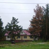 домик в лесу :: ирина амблямова