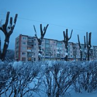 Северодвинск. Сумерки. Тотальное обрезание :: Владимир Шибинский