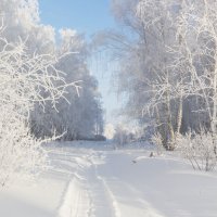 Зима. :: Kassen Kussulbaev