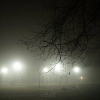 туман ... :: Алексей Салло