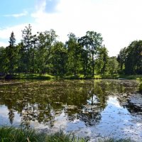 В разгаре лета :: Ольга 