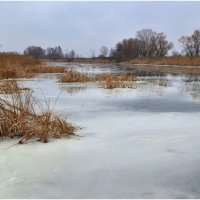 Прогуливаясь по берегу.... :: Svetlana Kravchenko