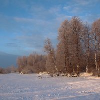 Берег озера. :: Галина .