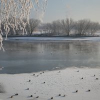 Москва река. Коломенское :: Эльмира Суворова