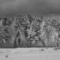 ветер сосны и снег... :: Александр Рождественский