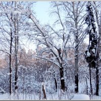 Безмолвие... :: Николай Дементьев 