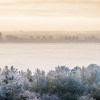 зима :: Соня Орешковая (Евгения Муравская)