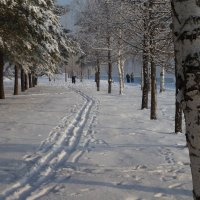 Тропа пенсионеров. :: Людмила Грибоедова 