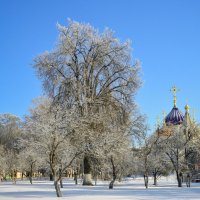 Зима в Переделкино :: Petr Popov