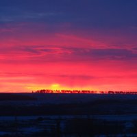 Первый луч солнца :: Наталья 