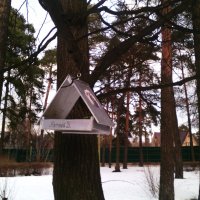 Забота детей о птицах в Подмосковье. :: Ольга Кривых