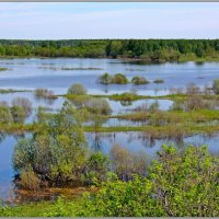 В разливе :: Николай Дементьев 