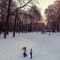Прогулка в парке. :: Сергей Исаенко