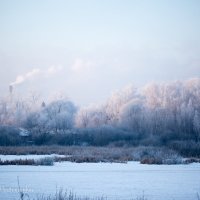 Зима. Утро. Мороз. :: Янгиров Амир Вараевич 