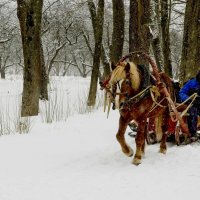 Зимний этюд. :: Николай Сидаш