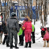 штраф за &quot;парковку&quot;))) :: вадим измайлов