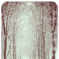 Снегопад в городе :: Вероника Швец