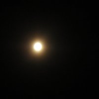 Moon :: Александр Жуков