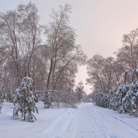 Ольга Малеева - румяное утро