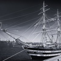 Amerigo Vespucci :: Вахтанг Хантадзе