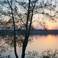 Кружево весны :: Наталья Панина