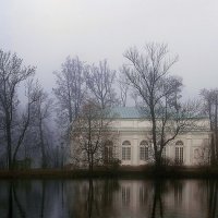 Туман в Царском саду :: Светлана Парфёнова
