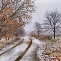 Осение картинки . :: Алла Мещерякова