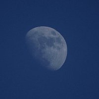 Moon :: Андрей Еськов