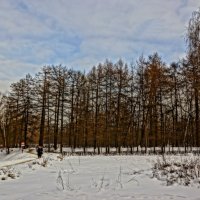 Прогулка по парку Сокольники :: Евгений Жиляев