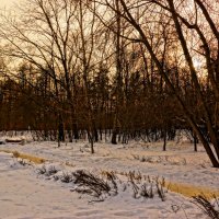 Прогулка по парку Сокольники :: Евгений Жиляев